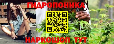 бошки Ставрополь