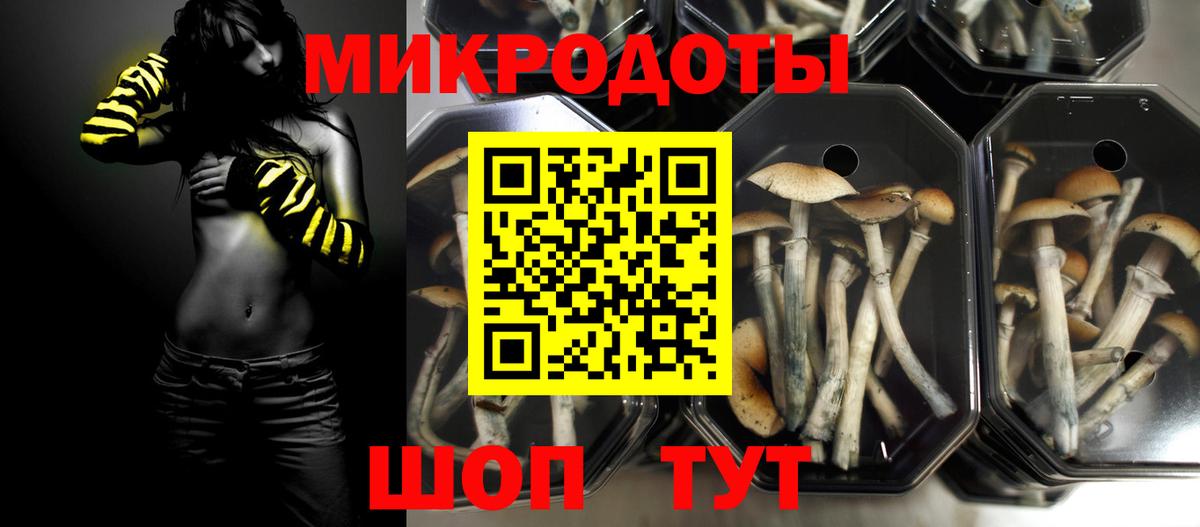 Галлюциногенные грибы ЛСД  Вход с VPN  Братск 